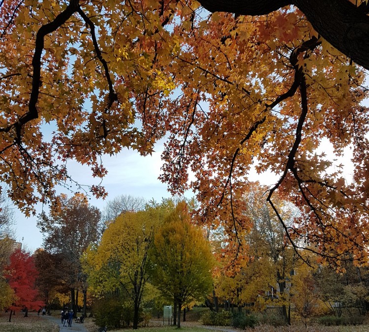 olmsted-park-photo